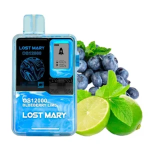 Lost Mary Blueberry Lime OS 12000 (чорниця лайм)