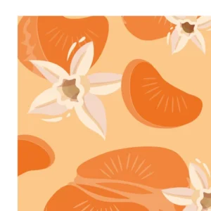 Табак для кальяна Loud Light 50 г Tangerine (мандарин с ванилью)